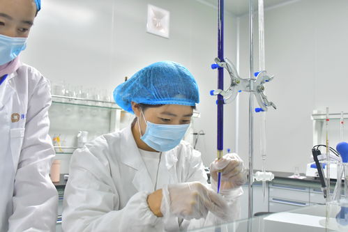 沛華農業(yè)大方生產基地建成投產 做強沛華集團刺梨產業(yè) 組織文化藝術交流活動